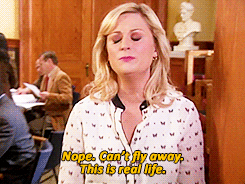 Four Things We Should Crowdfund Instead of a Wall